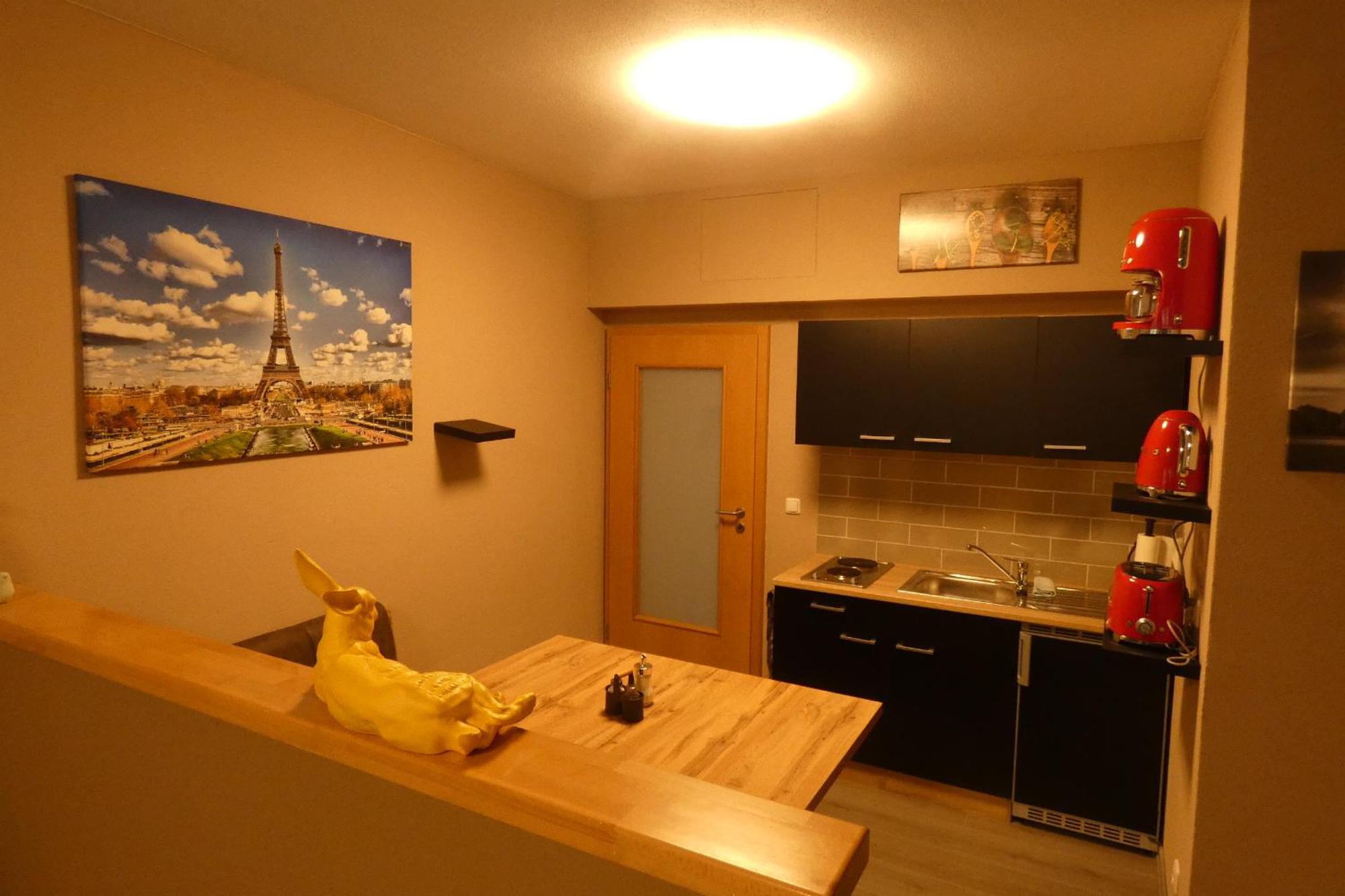 Paris Appartement Schwandorf in Bayern Buitenkant foto