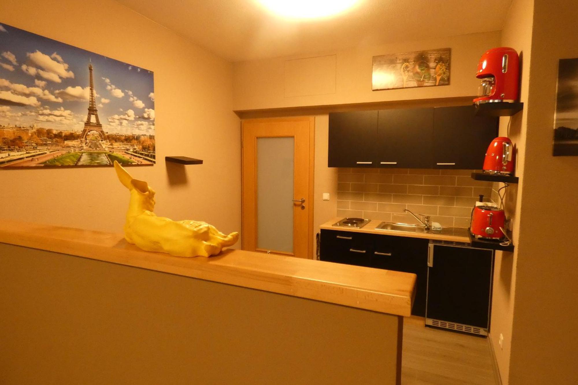 Paris Appartement Schwandorf in Bayern Buitenkant foto
